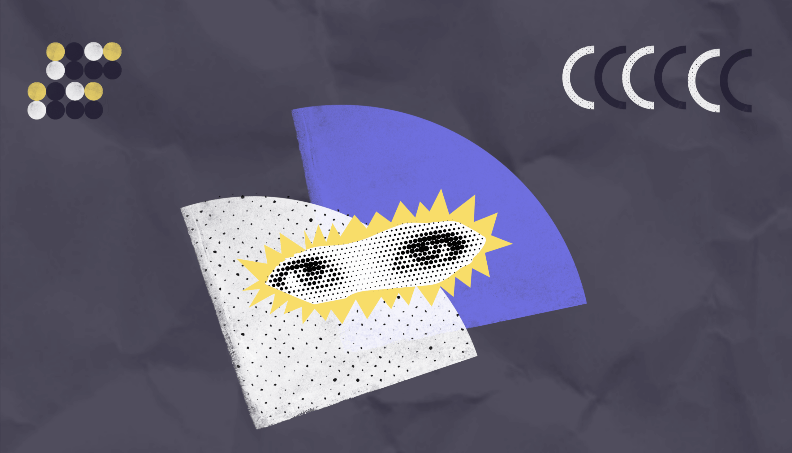 Anticorrupción feminista: rendición de cuentas desde los territorios